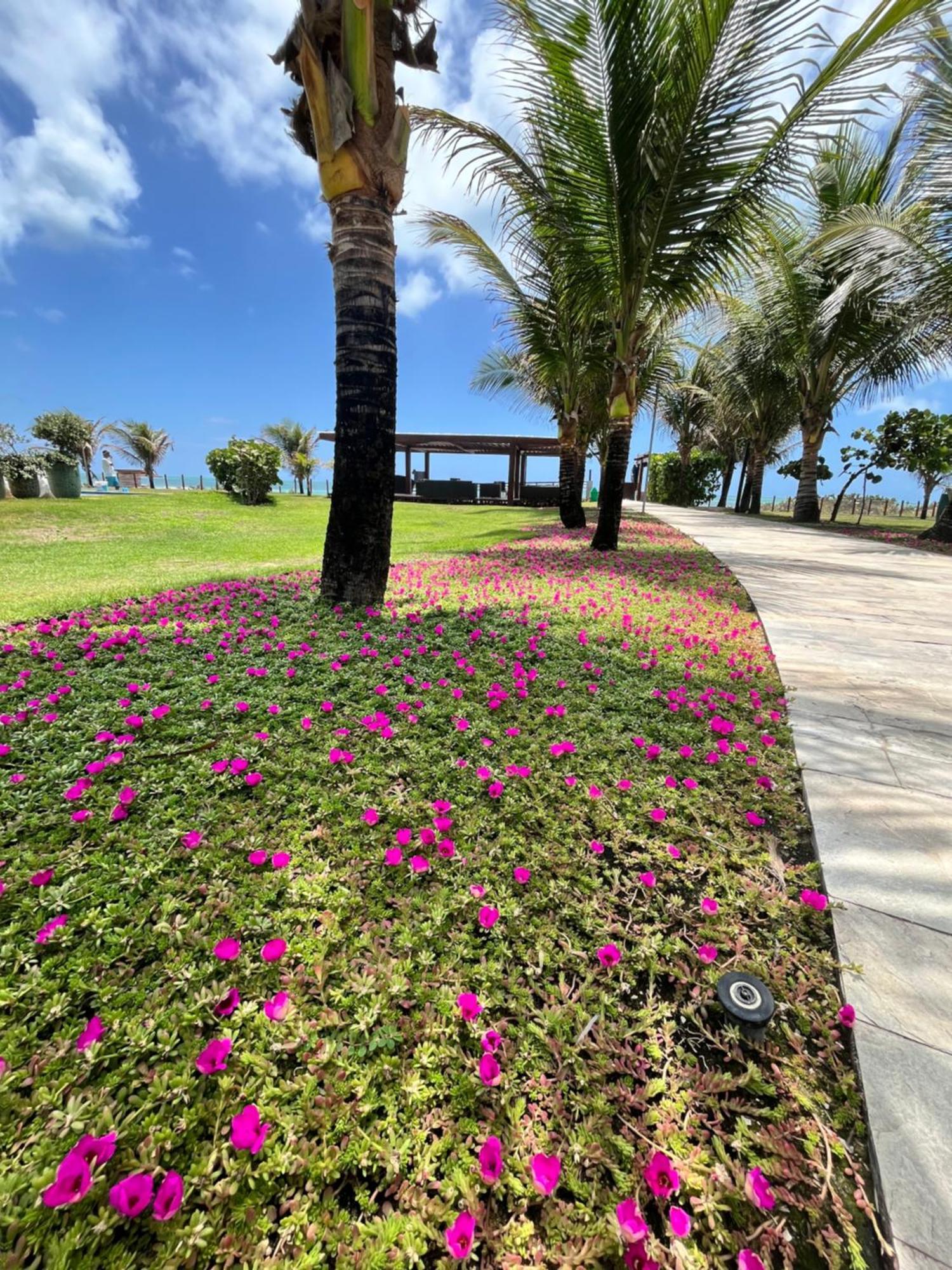 Beira mar de Porto de Galinhas - Cupe Beach Living Exterior foto
